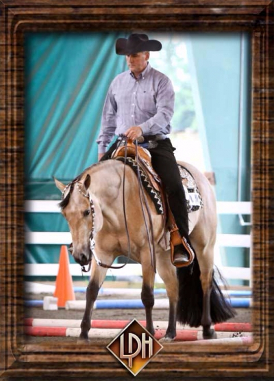 kip larson aqha professional horse trainer