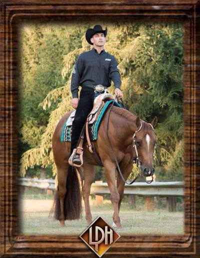 michael davis professional horse trainer
