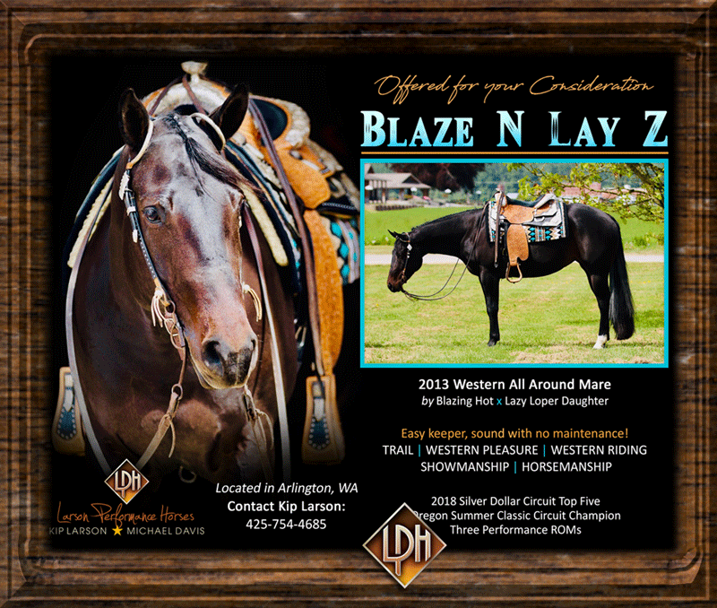 2013 aqha western pleasure show mare for sale3