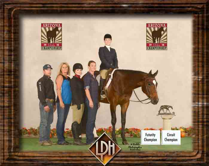 hus arizona sun circuit champion for sale